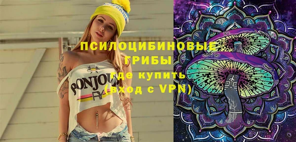 PSILOCYBIN Краснослободск
