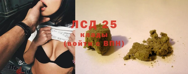 PSILOCYBIN Краснослободск