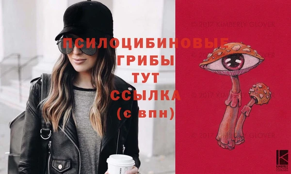 гашик Краснотурьинск