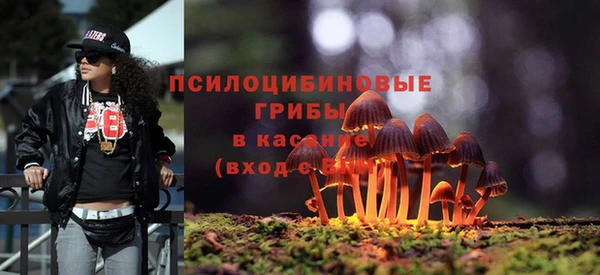гашик Краснотурьинск
