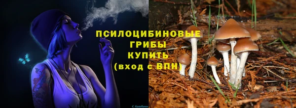 гашик Краснотурьинск